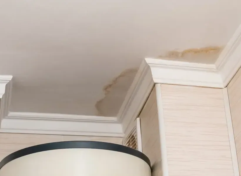 A brown water stain spreading across a ceiling from a leak above