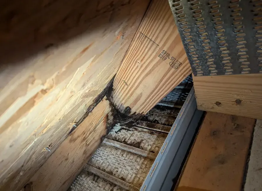 Water-stained roof sheathing and a rafter seen from inside an attic