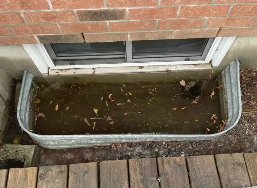 Rain and snowmelt pooled in a basement window well beside the foundation